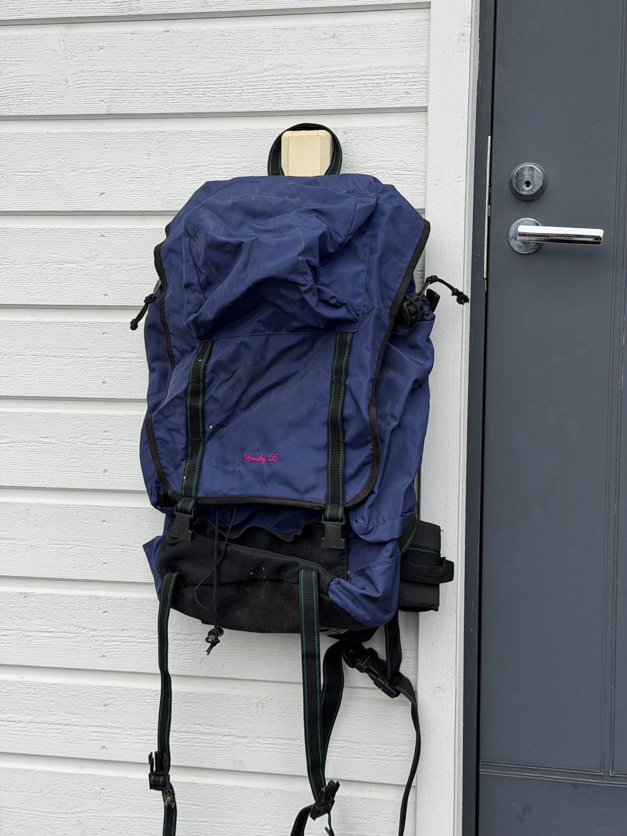 Halti Husky 55 rinkka