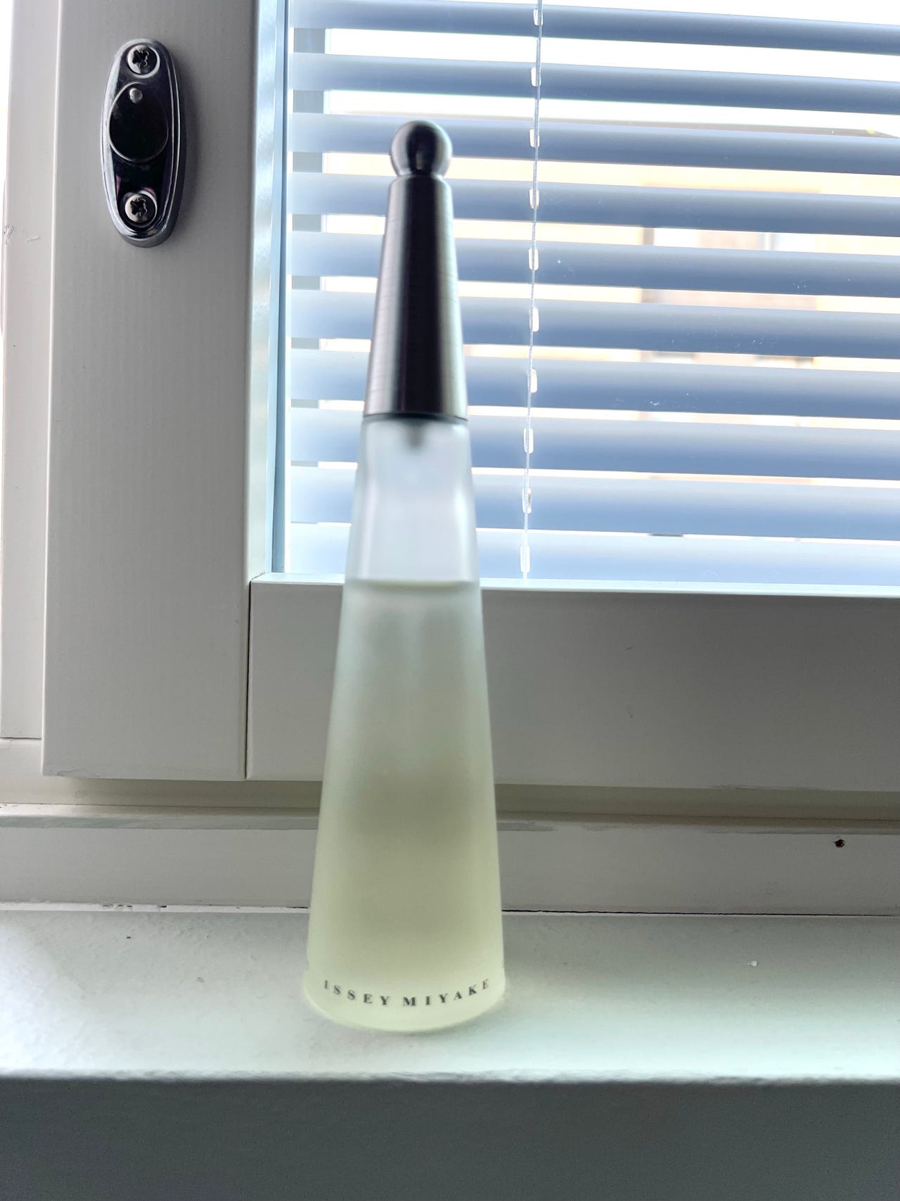 Issey Miyake L’Eau d’Issey 100 ml