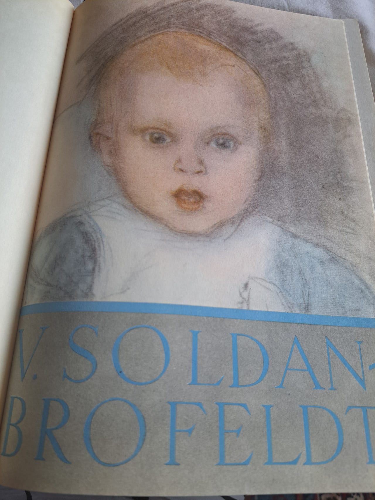 Venny Soldan-Brofeldt ja hänen maailmansa -kirja 1960