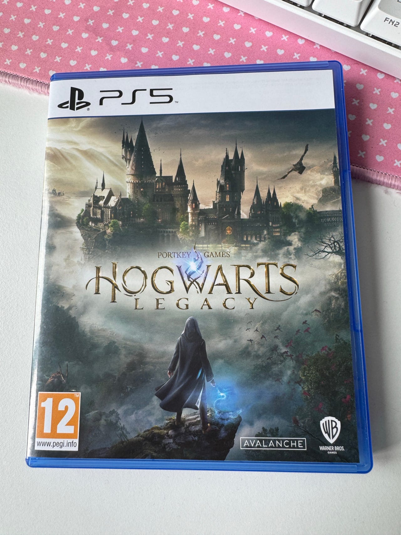 PS5 Hogwarts Legacy -peli
