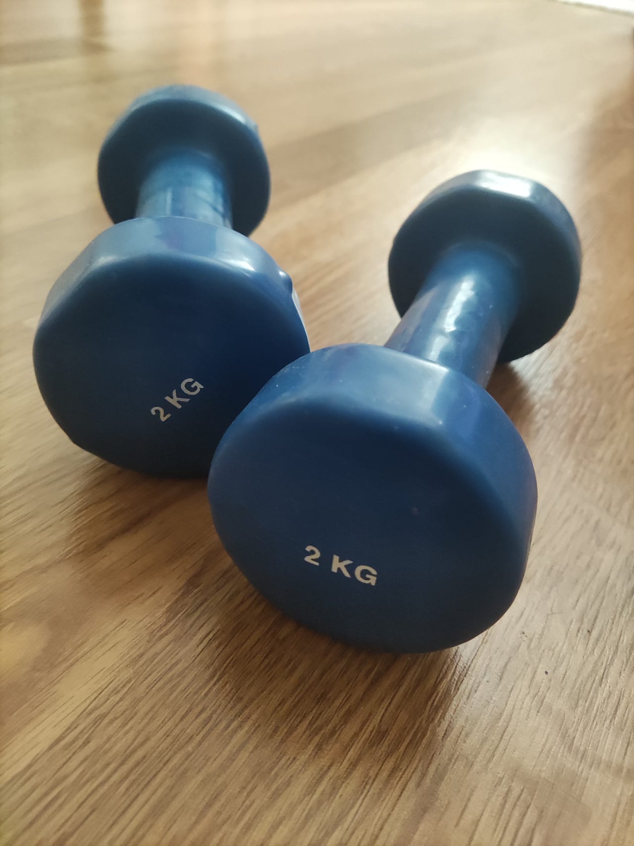 Käsipainot 2 kpl a 2kg