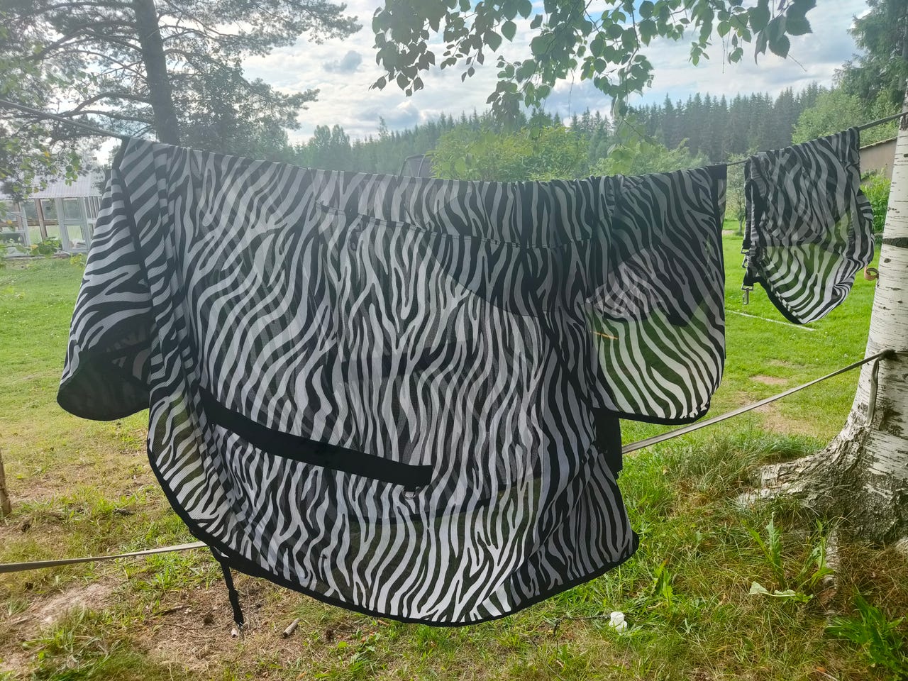 Ötökkäloimi koko 135.