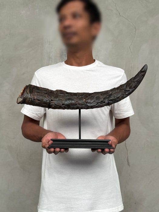 Kaiverrus, Finely engraved water buffalo horn on a custom stand -