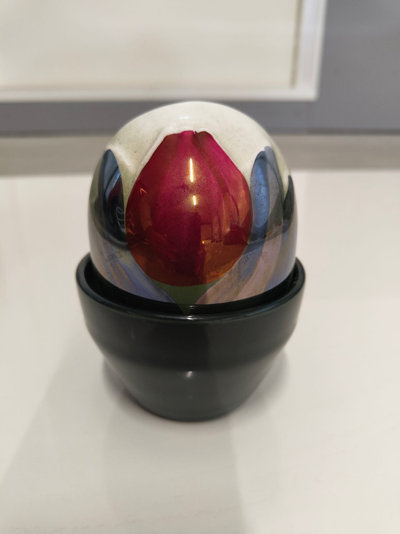 Arabia ikikukka tulppaani