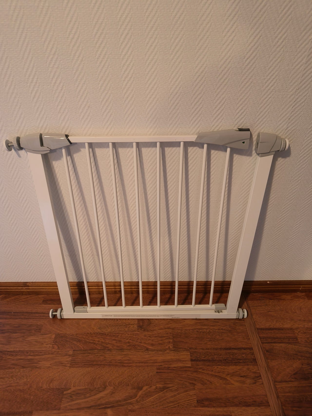 Koiraportti