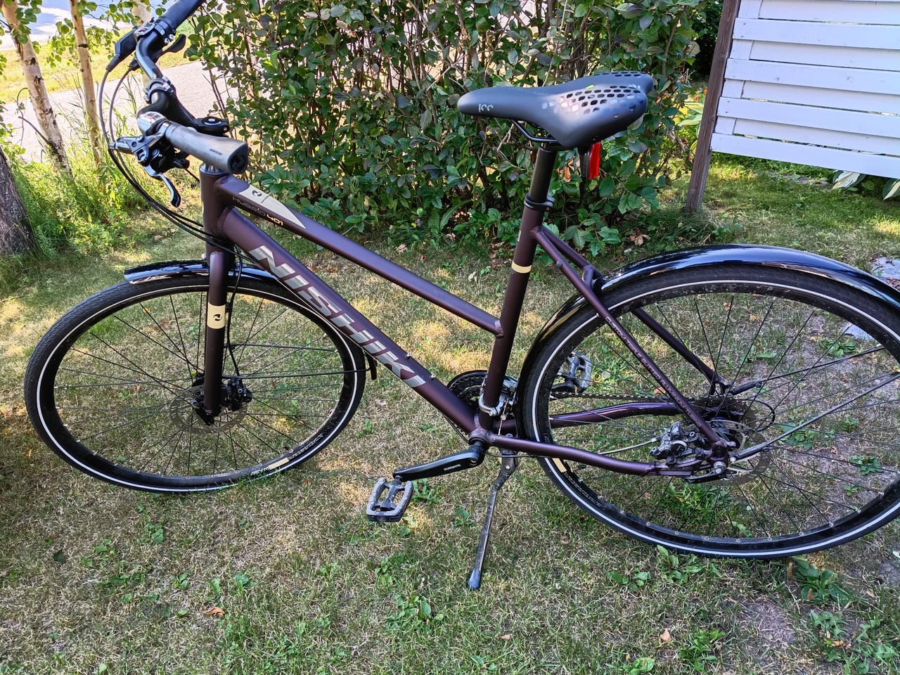 Nishiki Hybrid 401