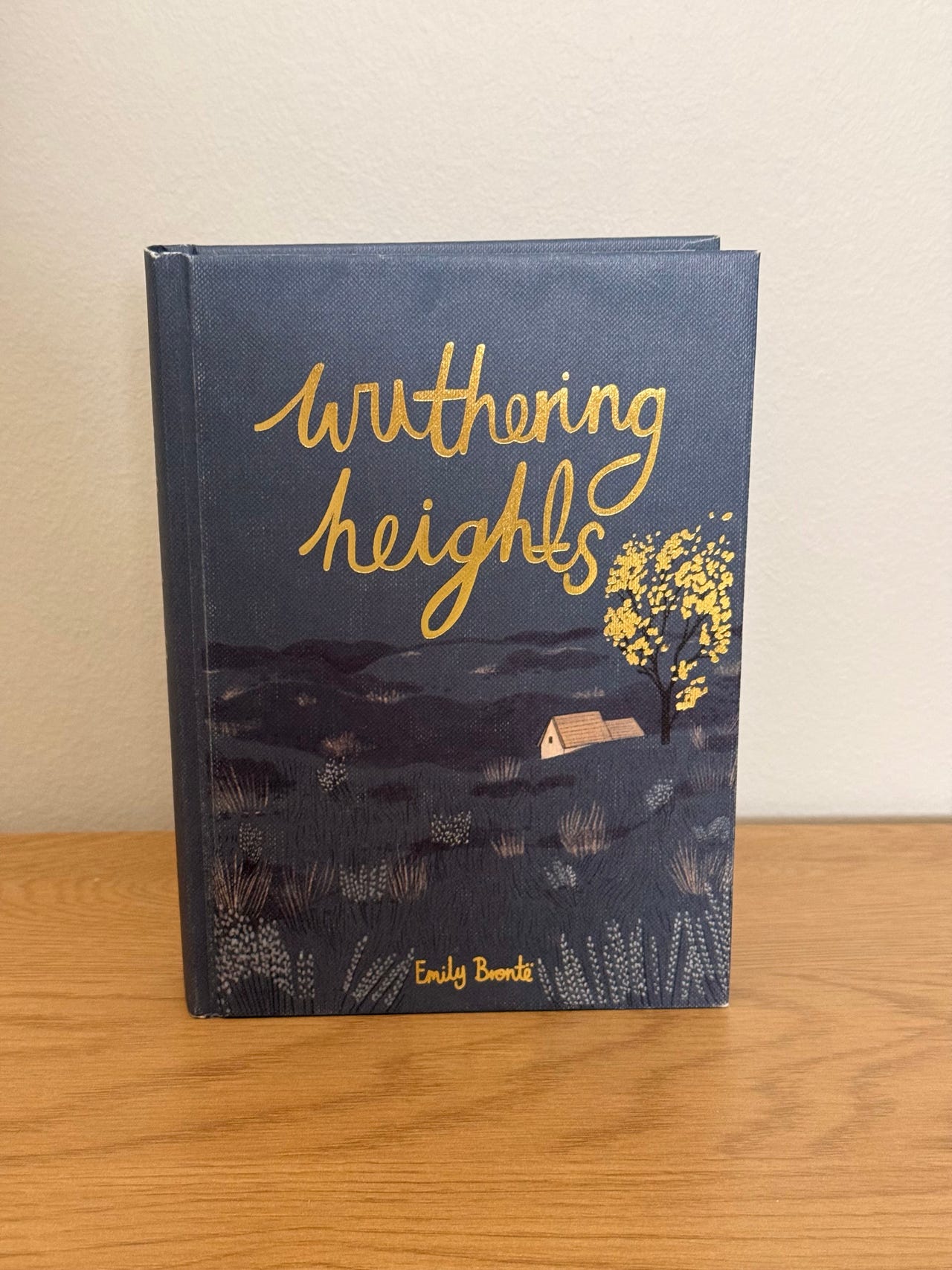 Emily Bronte Wuthering Heights