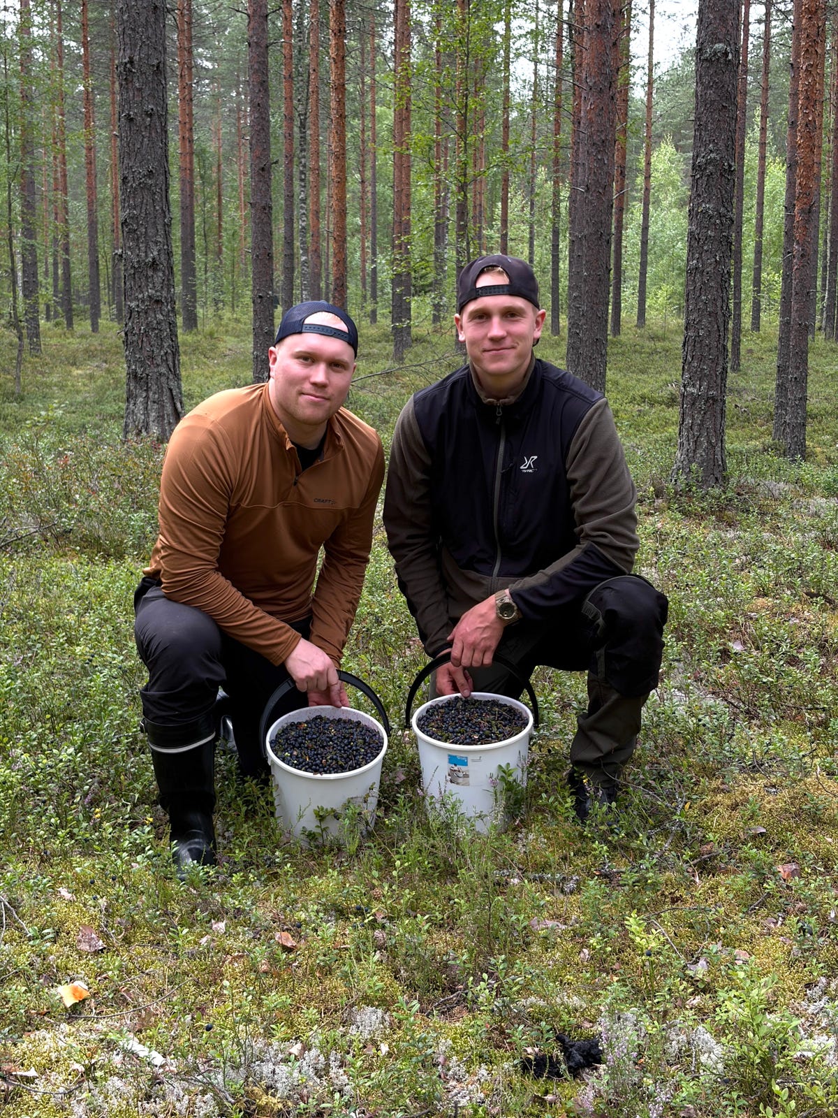 Myydään kotiintoimituksella mustikkaa hintaan 50€/10 litraa.