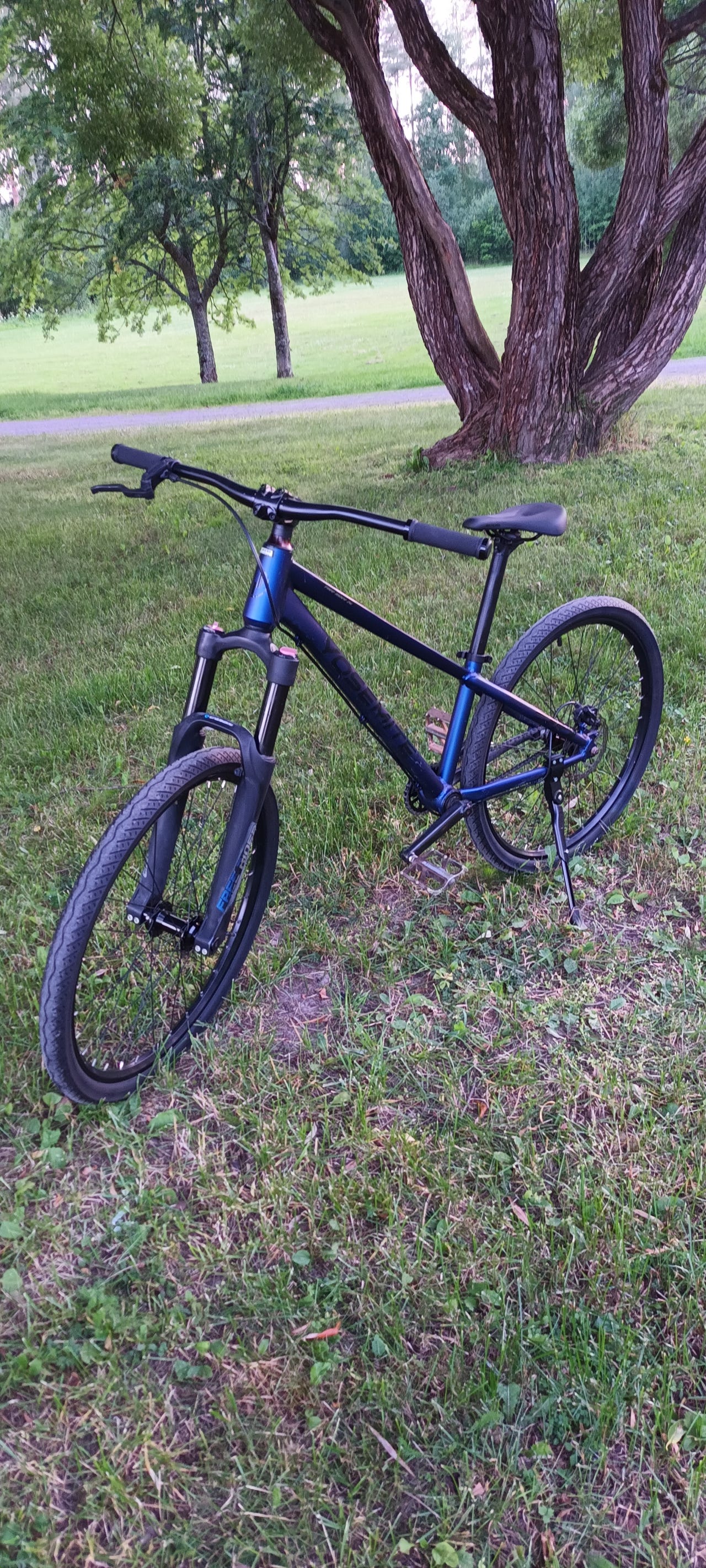 Yosemite Free Rider Dirt 1v 26