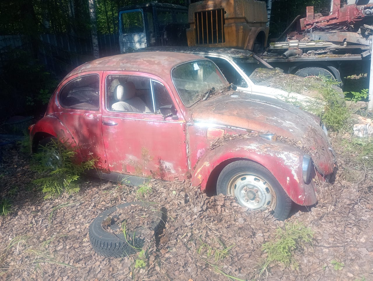 VW Kupla