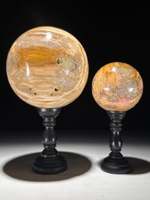 Upea petrifioitunut puupari - Kivettynyt puu - Spheres on a custo
