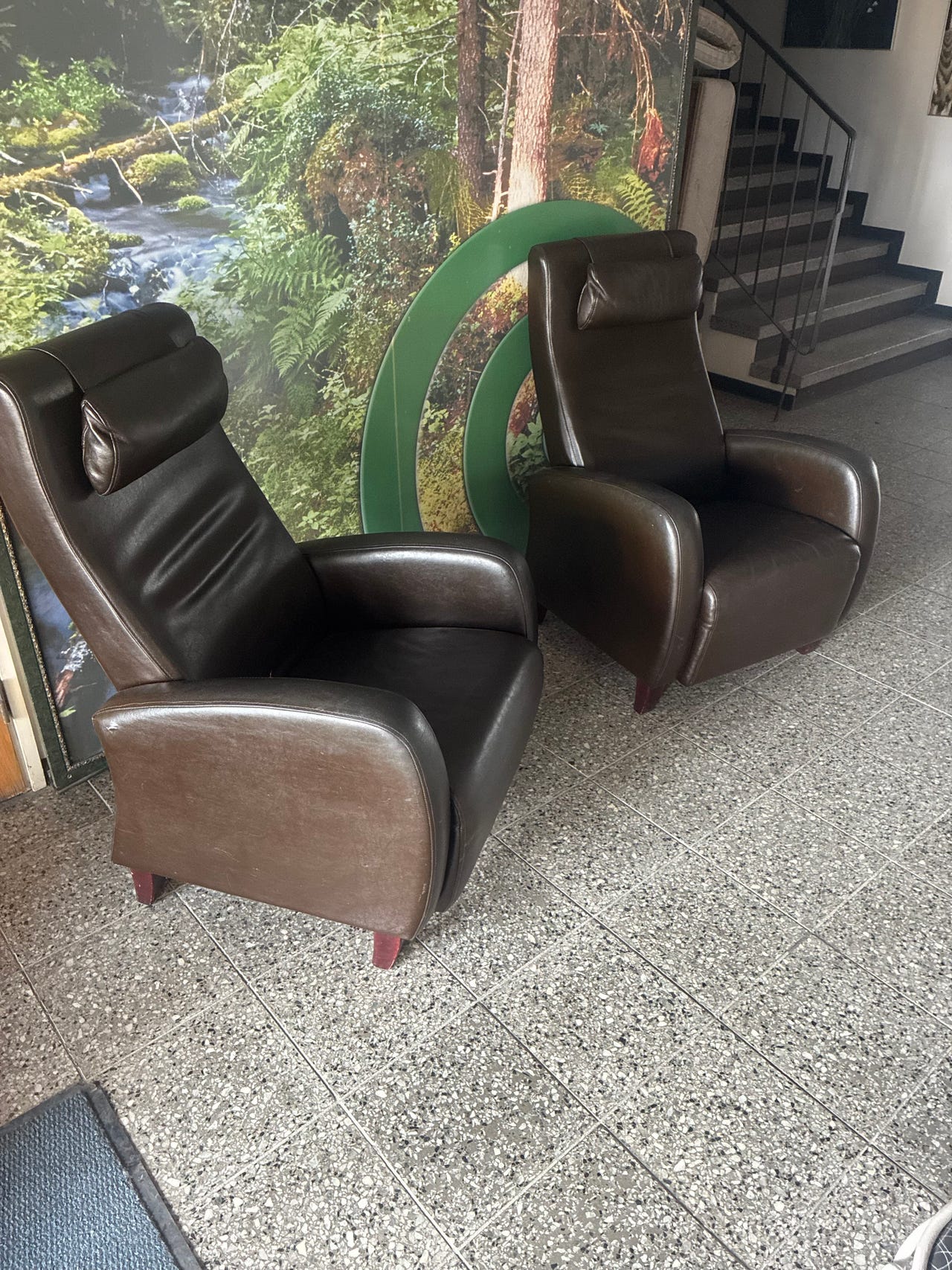 2 nahkaisia nojatuoleja
