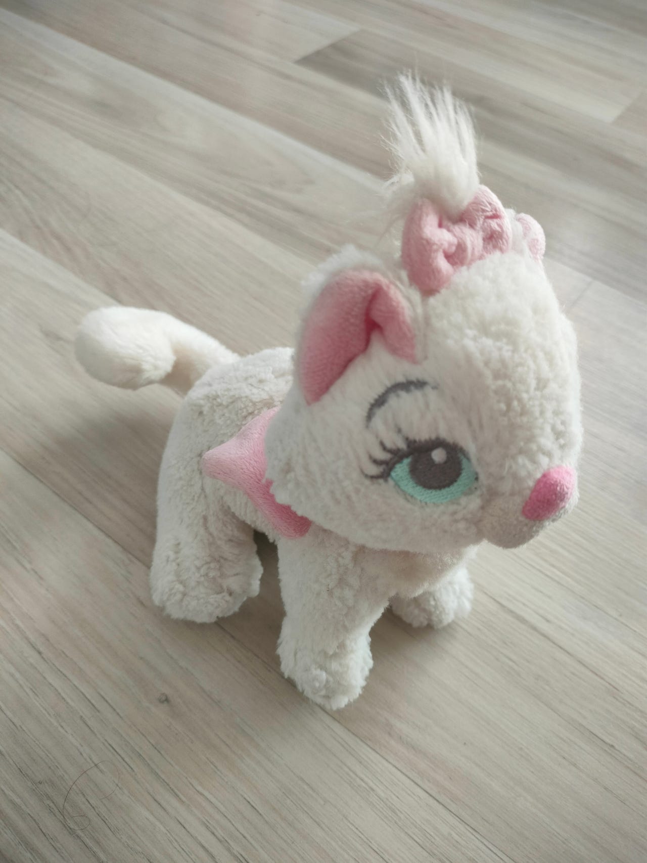 Kissa