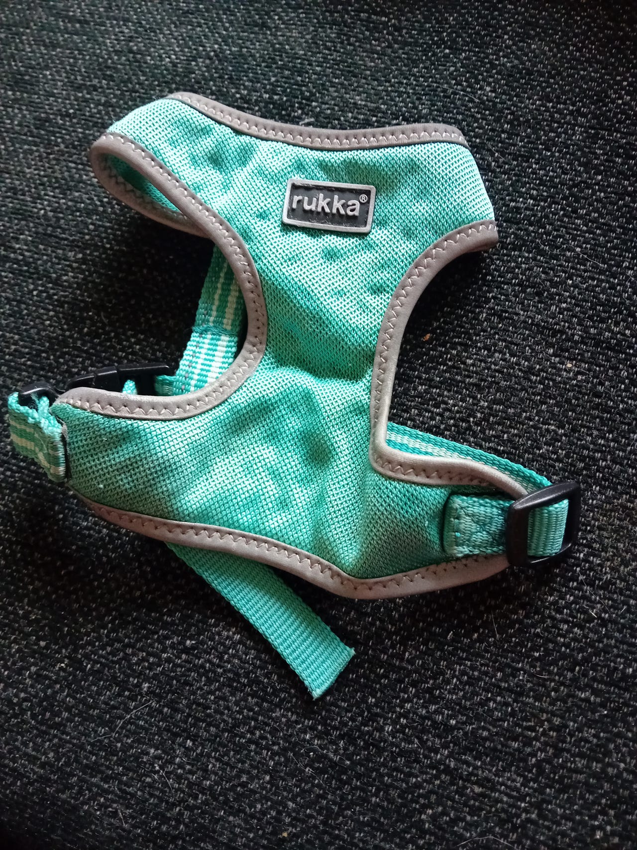 Rukka koiran tai kissan valjaat koko 22-32cm (xs)