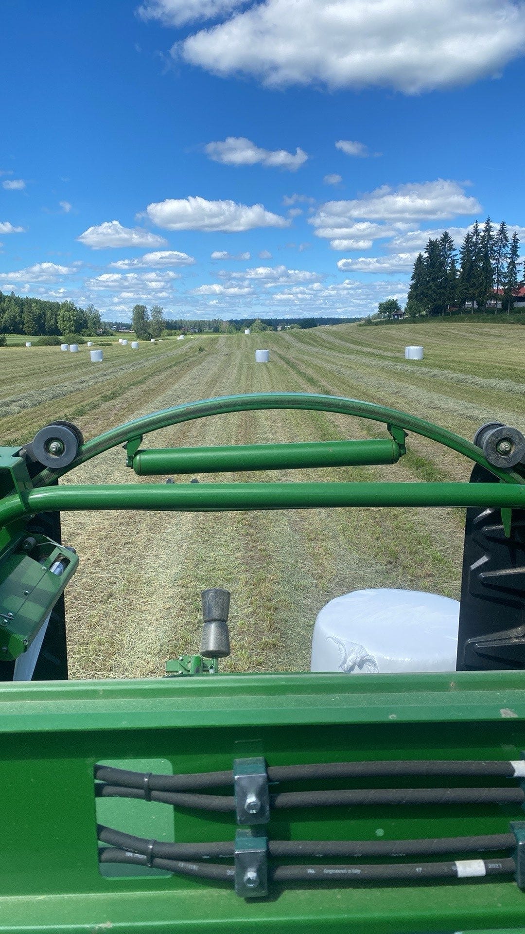 Esikuivattua heinää