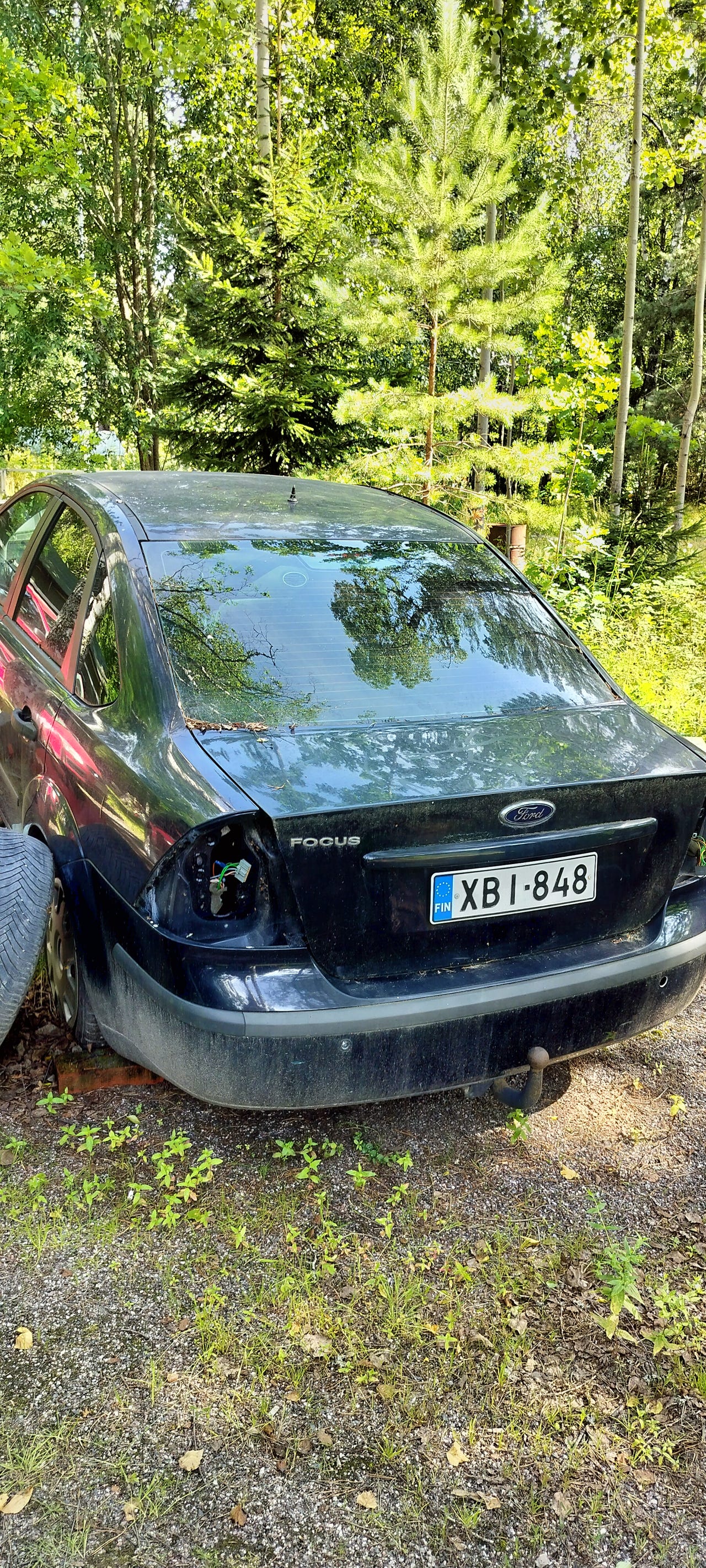 Ford focus 2005 osina