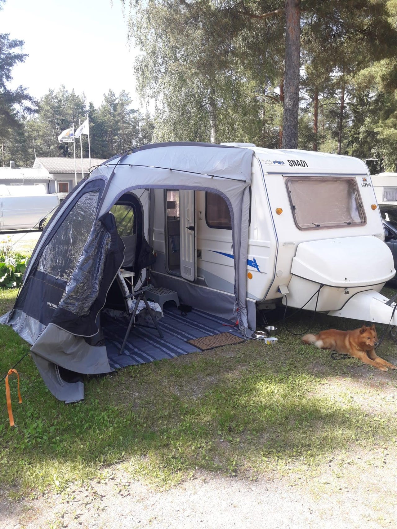 Ventura Basic Medium etuteltta