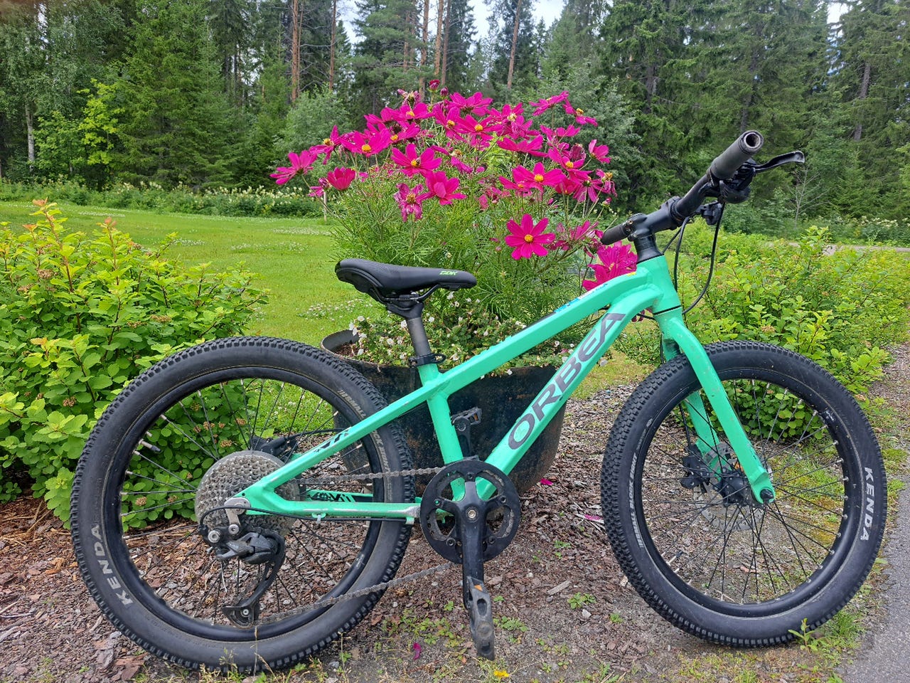 Orbea MX 20 maastopyörä