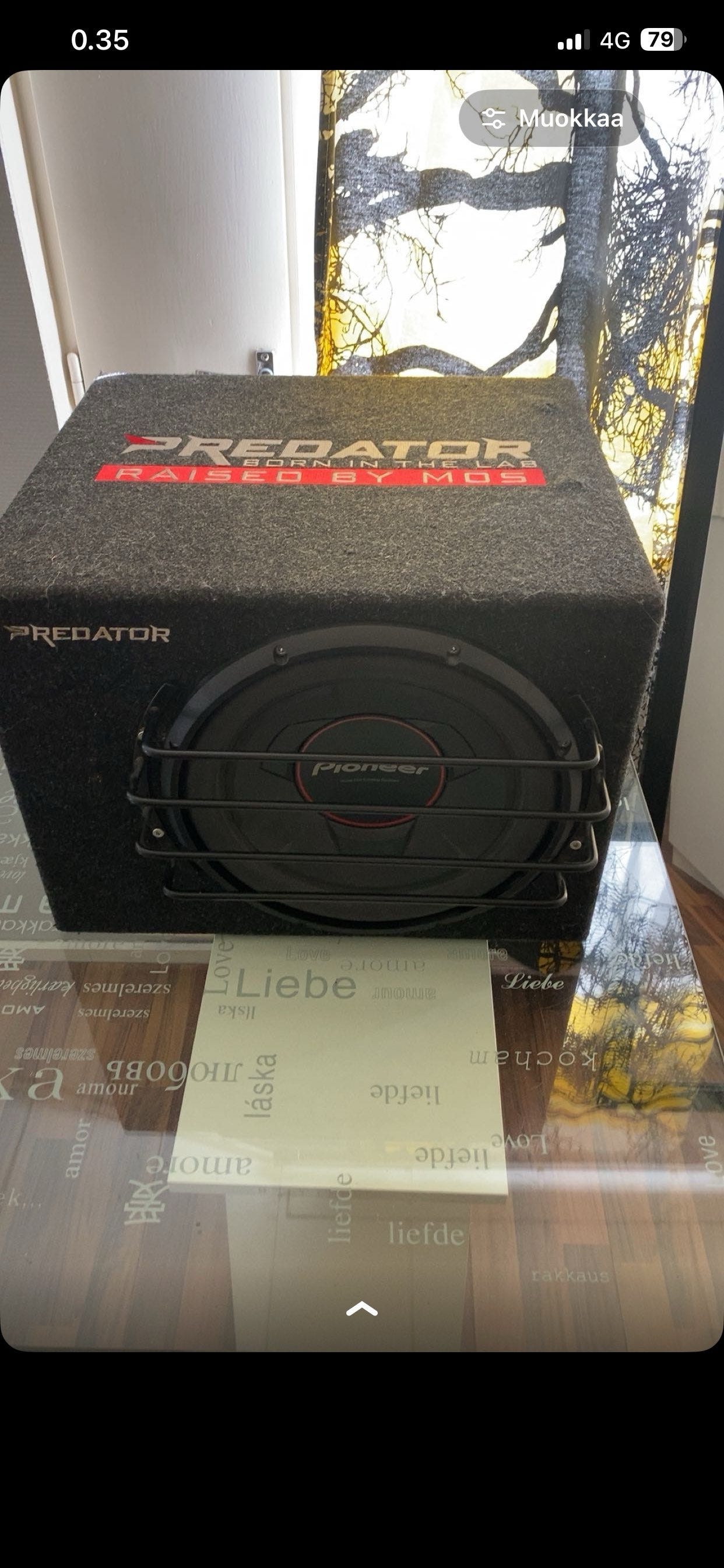 12” subwoofer