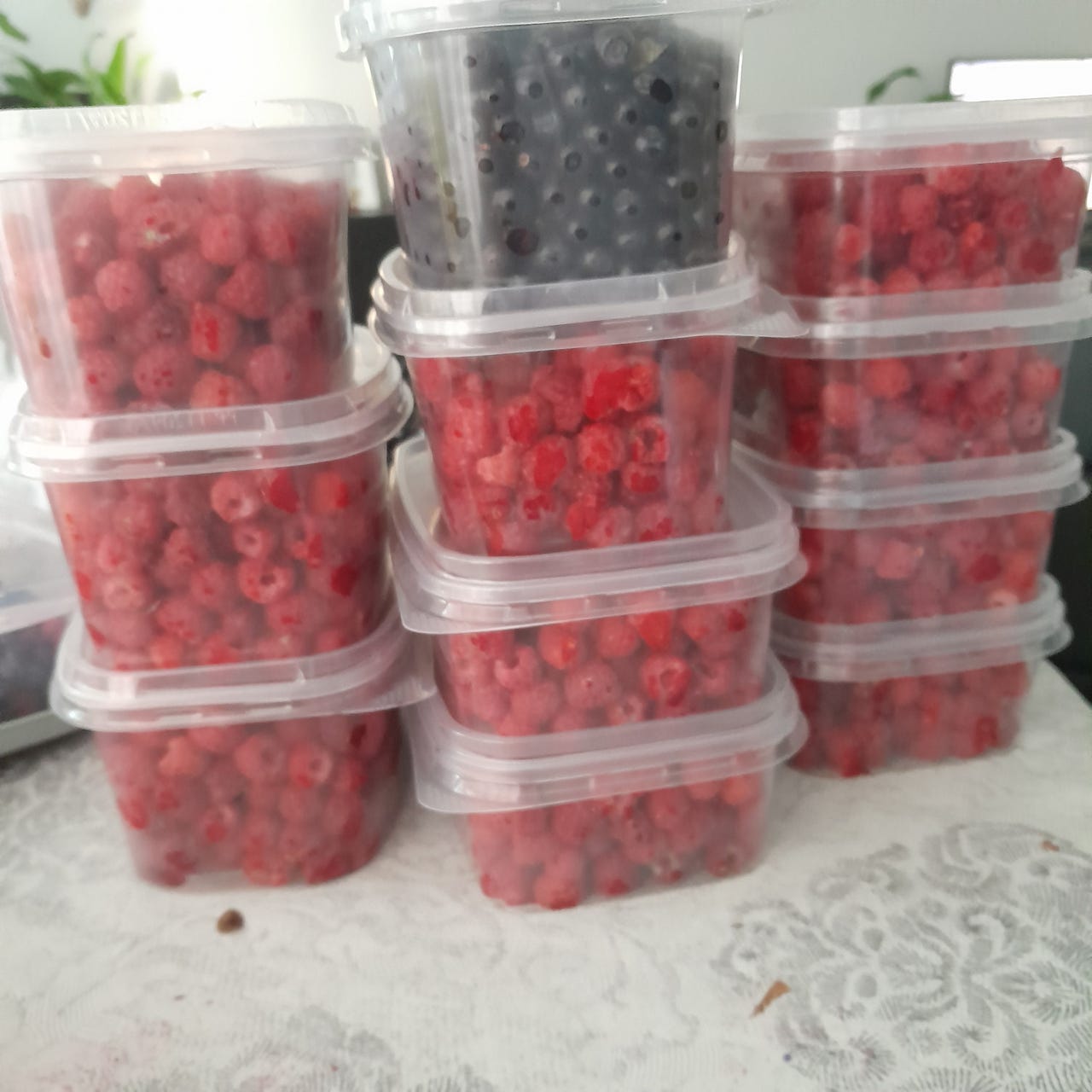Mustikkaa ja vadelmaa