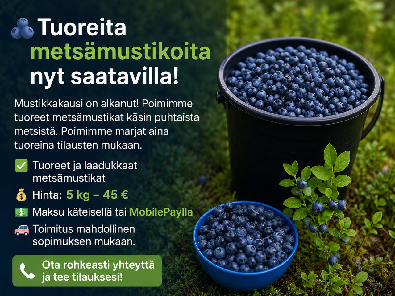 Mustikka