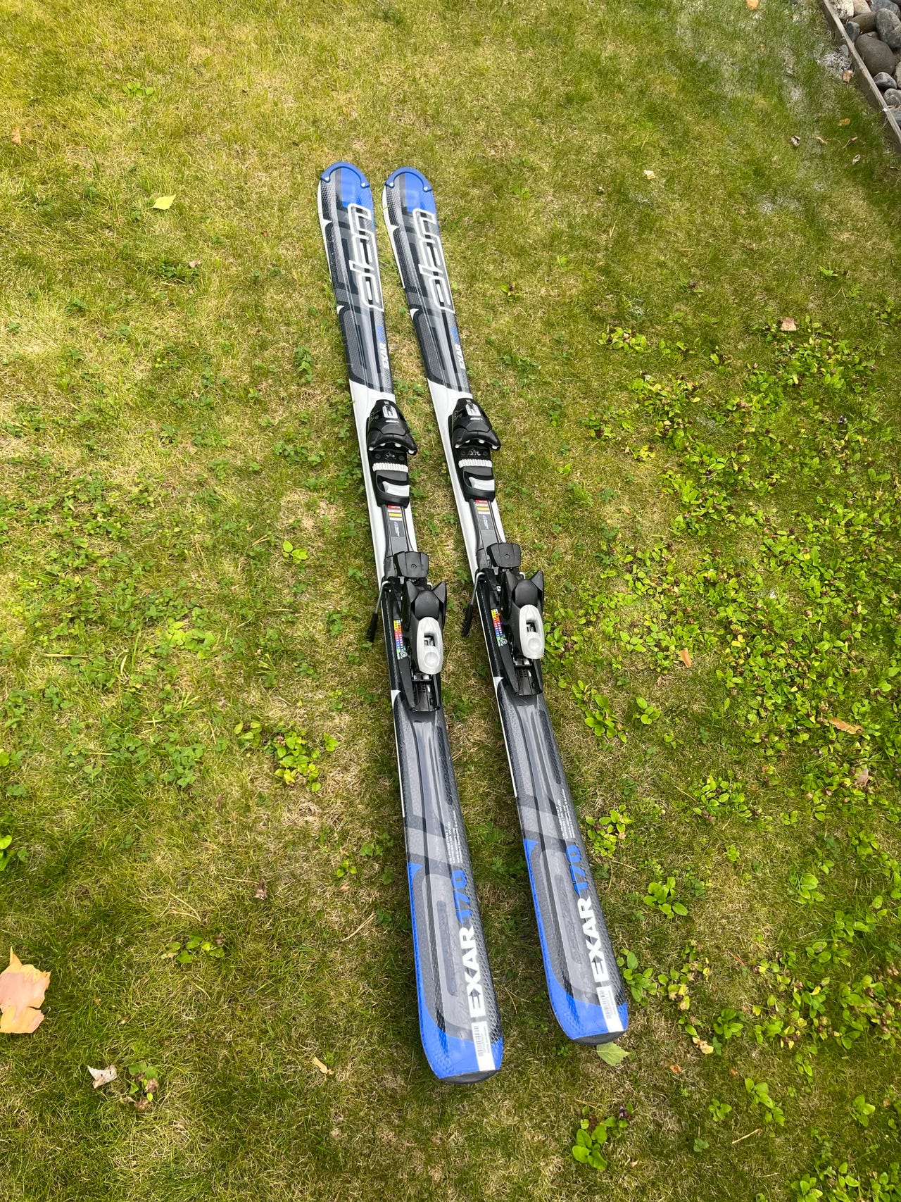 Elan WaveFlex laskettelusukset siteillä sininen/harmaa