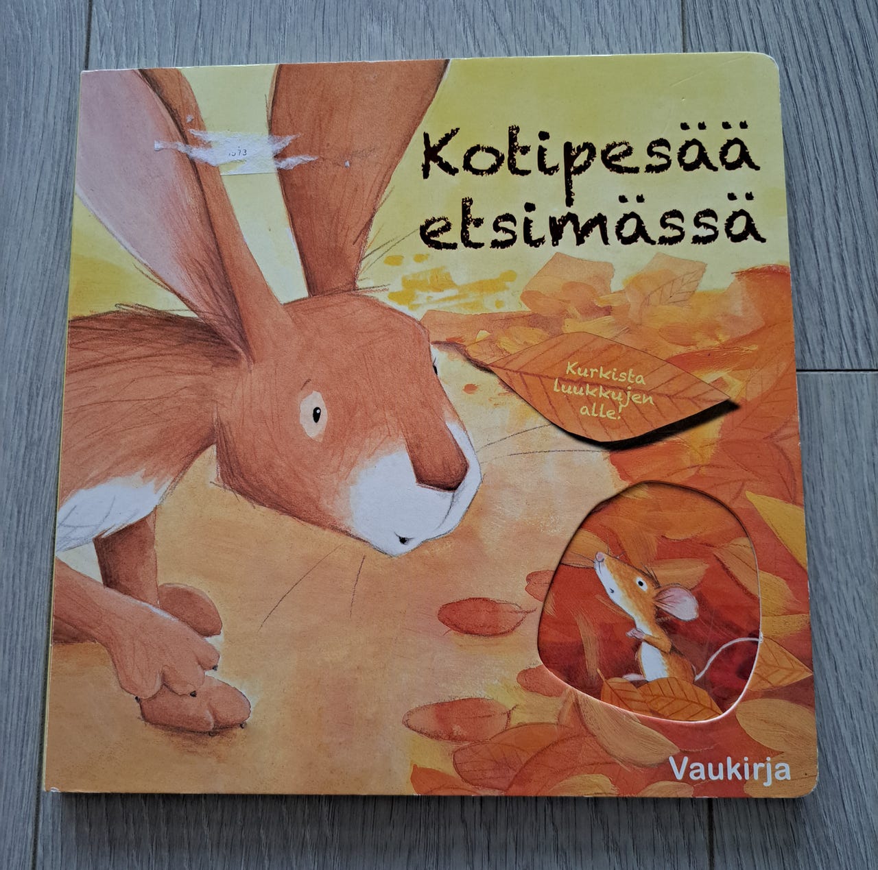 Kotipesää etsimässä -lastenkirja