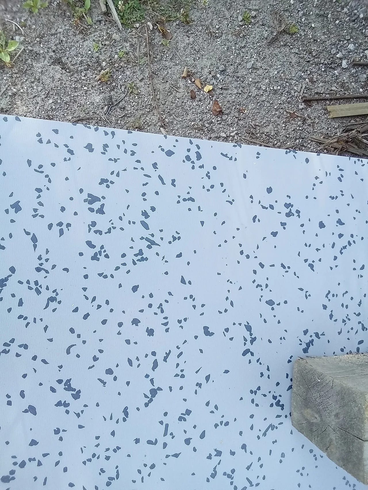 FILMIVANERI PINNOITETTU UUSI