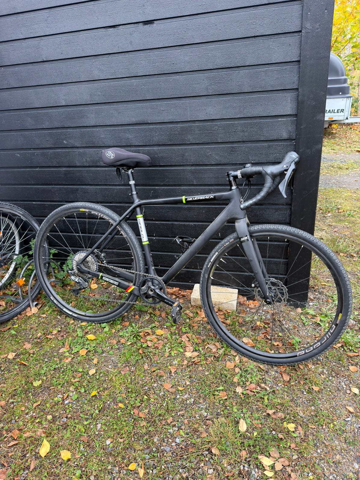 Silverback Siablo CF GRX -gravelpyörä, S/52cm | Tori