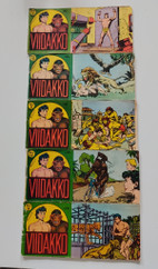 Pikkukuva
