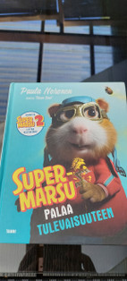 Pikkukuva