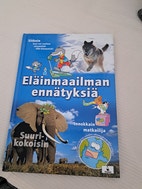 Pikkukuva
