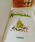 Pikkukuva