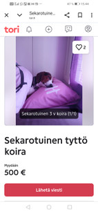 Pikkukuva