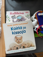 Pikkukuva
