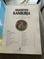 Pikkukuva
