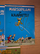 Pikkukuva