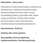 Pikkukuva