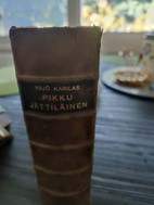 Pikkukuva
