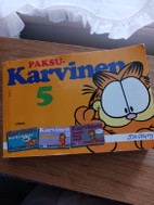 Pikkukuva