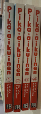 Pikkukuva