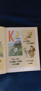 Pikkukuva