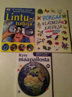 Pikkukuva