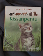Pikkukuva