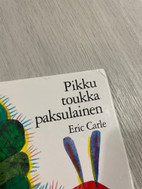 Pikkukuva