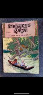 Pikkukuva
