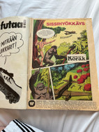 Pikkukuva