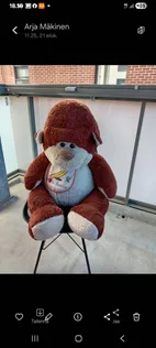 Pikkukuva