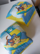 Pikkukuva