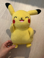 Pikkukuva